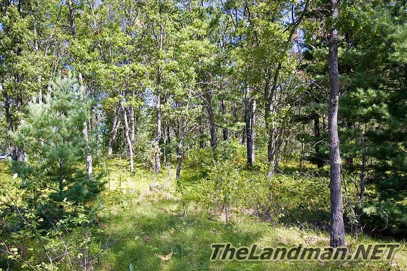 Petenwell Shores is on Lake Petenwell Petenwell Shores is on Lake Petenwell