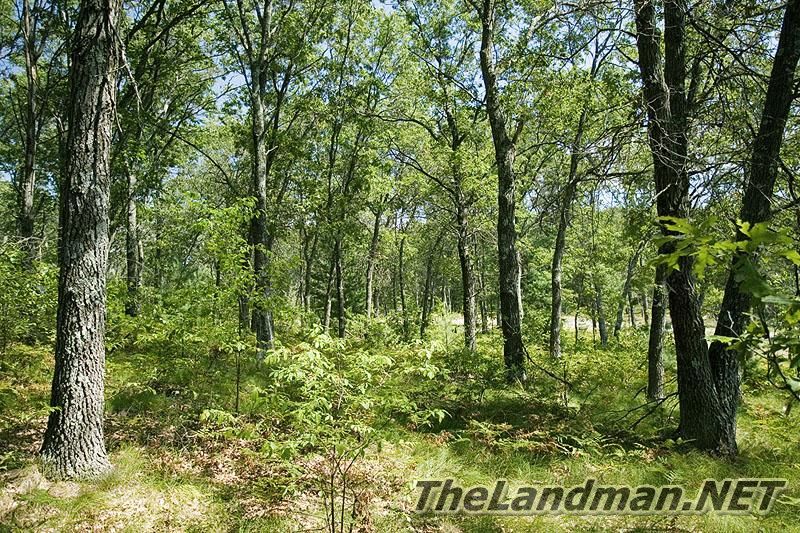 Petenwell Shores is next to Monroe Town Park Petenwell Shores is next to Monroe Town Park