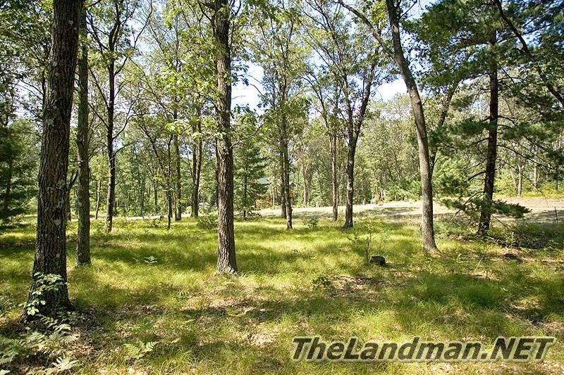 Central Wisconsin Central Wisconsin