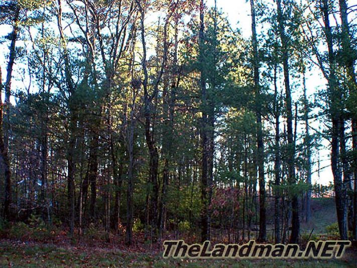 Majestic Pine Acres is by Petenwell County Park Majestic Pine Acres is by Petenwell County Park