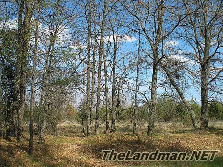 Petenwell Highlands is by Monroe Town Park Petenwell Highlands is by Monroe Town Park