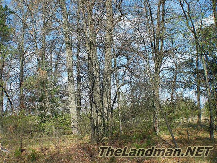 Petenwell Highland is on Snowmobile Trails Petenwell Highland is on Snowmobile Trails