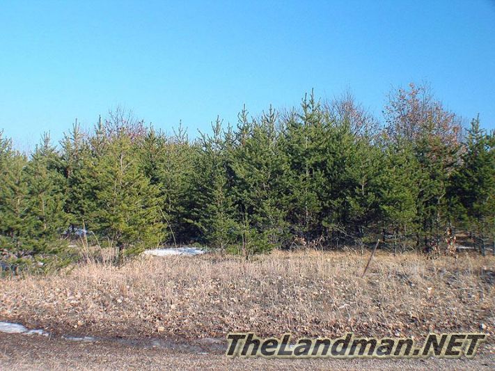 Petenwell Highlands is on ATV Routes Petenwell Highlands is on ATV Routes