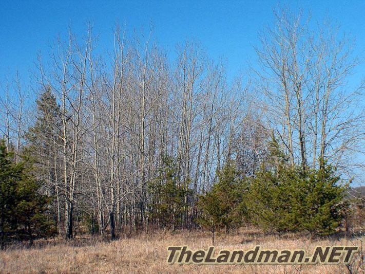 Central Wisconsin Central Wisconsin