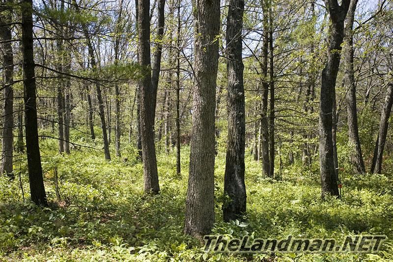Petenwell Landing is on the ATV Routes Petenwell Landing is on the ATV Routes