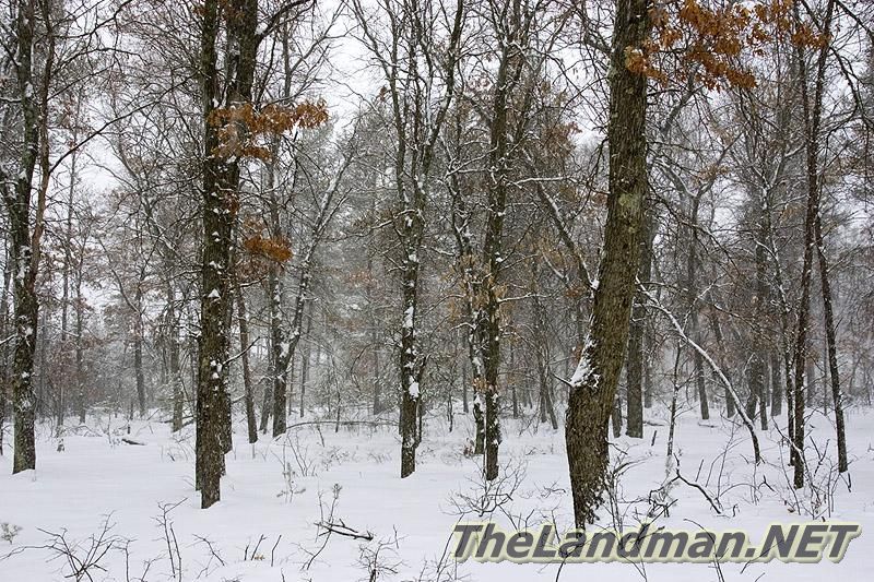 The Back Forty is close to Lake Petenwell The Back Forty is close to Lake Petenwell