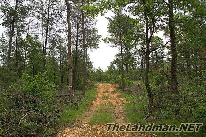 The Back Forty is on the Snowmobile Trails The Back Forty is on the Snowmobile Trails