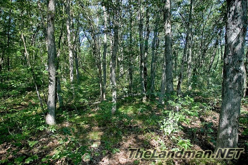 Stoney Brook is close to McGinnis Lake, WI. Stoney Brook is close to McGinnis Lake, WI.
