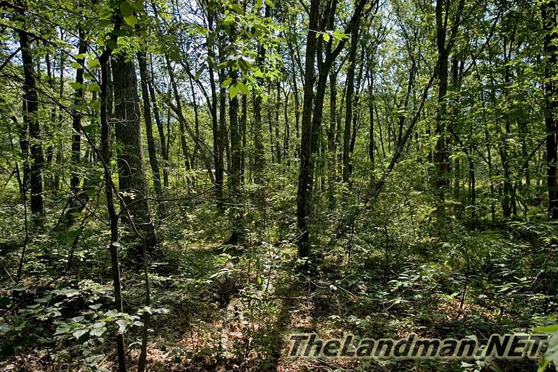 Central Wisconsin Central Wisconsin