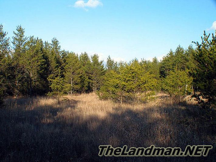 The Back Forty is on the ATV Routes The Back Forty is on the ATV Routes