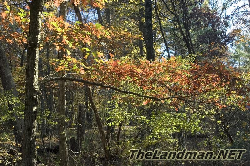 D 800X533 D3Z2433 D 800X533 D3Z2433