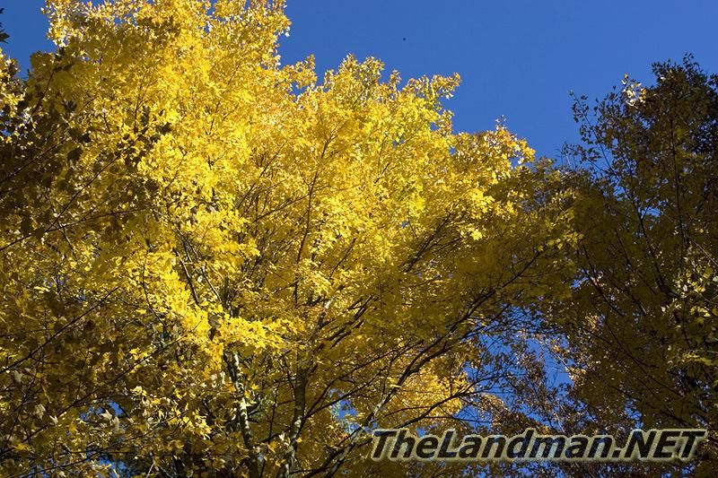 D 800X533 D3Z2434 D 800X533 D3Z2434