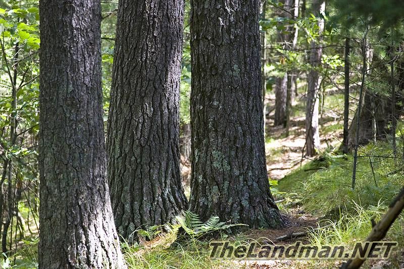 Trout Valley is close to Tri-Lakes, WI. Trout Valley is close to Tri-Lakes, WI.