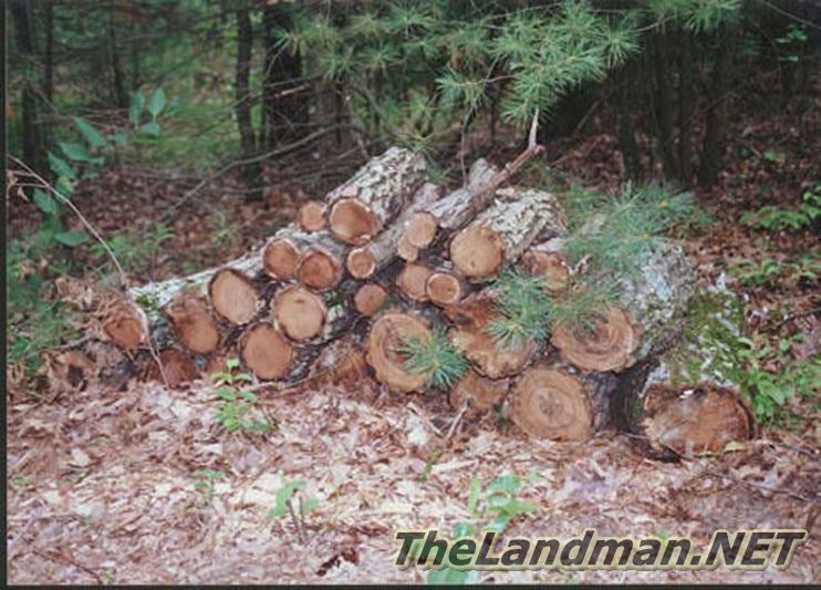 Central Wisconsin Central Wisconsin