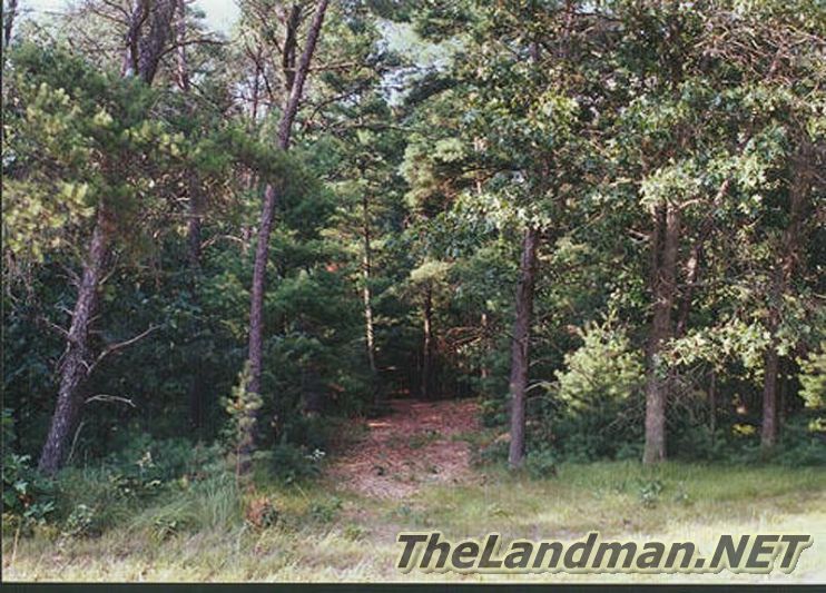 Turkey Hollow is not far from Petenwell County Park Turkey Hollow is not far from Petenwell County Park