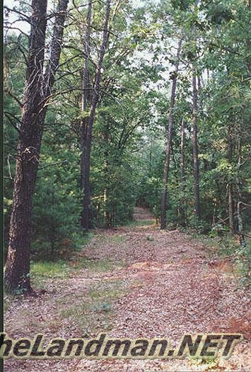 Enjoy the Wisconsin Wildlife in Turkey Hollow Enjoy the Wisconsin Wildlife in Turkey Hollow