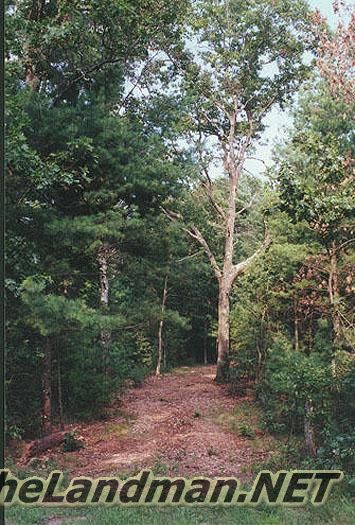 Turkey Hollow Turkey Hollow