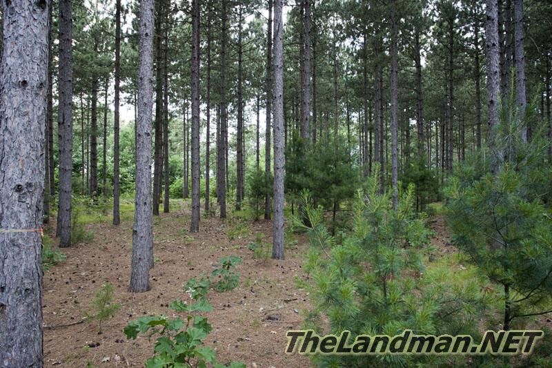 Central Wisconsin Central Wisconsin