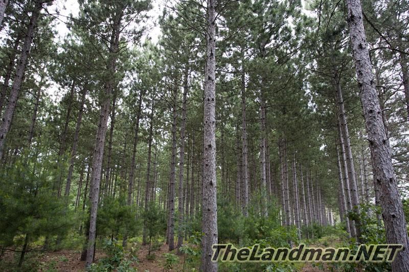 Twin Lakes is right by Lake Petenwell Twin Lakes is right by Lake Petenwell