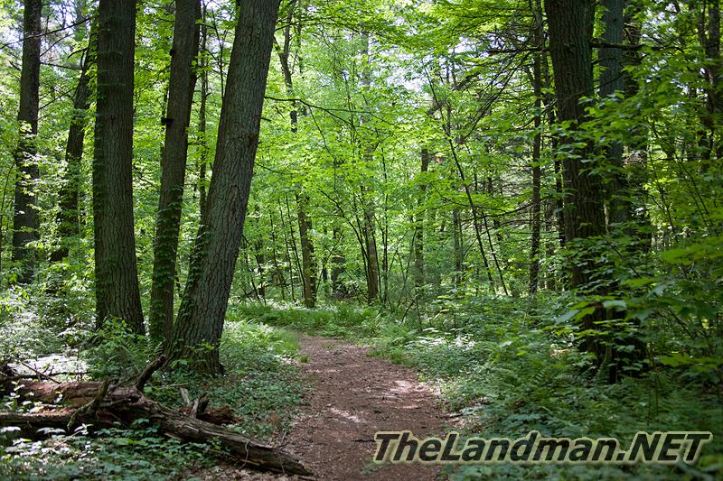 Dells of the Wisconsin River Forest Dells of the Wisconsin River Forest