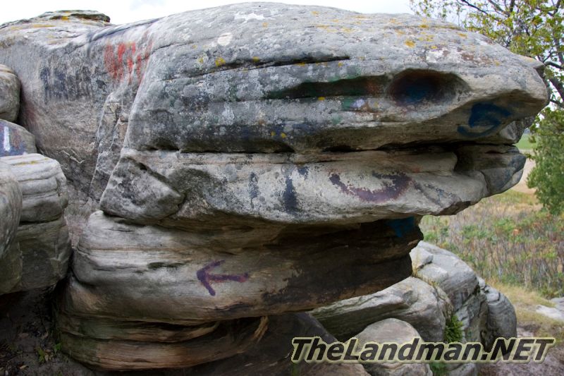 Faces of Nature Faces of Nature