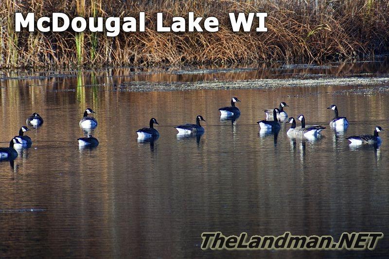 McDougal Lake Wisconsin