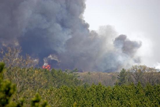 forest fire pictures