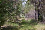 40 Acres for Sale WI