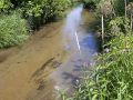 Neenah Creek Trout Stream