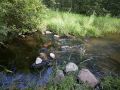 Adams County WI Trout Stream