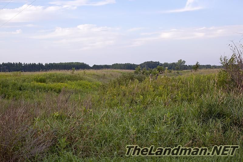 Grasslands
