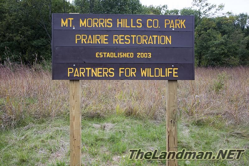 Prairie Restoration 