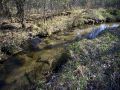 Pine River Trout Stream