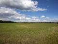 Wisconsin Grasslands