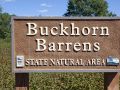 Buckhorn Barrens