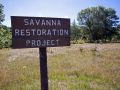 Savannah Restoration Project