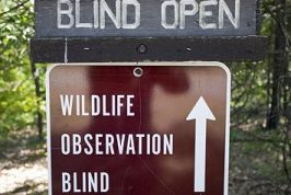Wildlife Observation Blind Photos