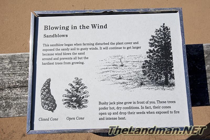 Blowing in the Wind