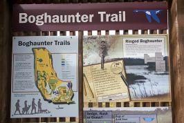 Boghauter Trail Photos