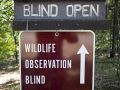 Wildlife Observation Blind