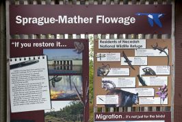Sprague Mather Flowage Photos