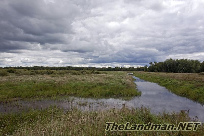 Necedah National Wildlife Refuge