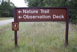 Observation Tower Trail Photos