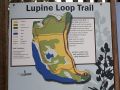 Lupine Loop Trail Map