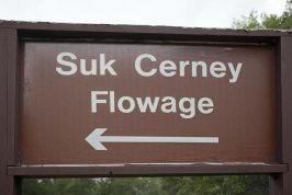 Suk Cerney Flowage Photos
