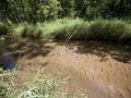 Adams Township - Fordham Creek Trout Stream in Adams County, WI