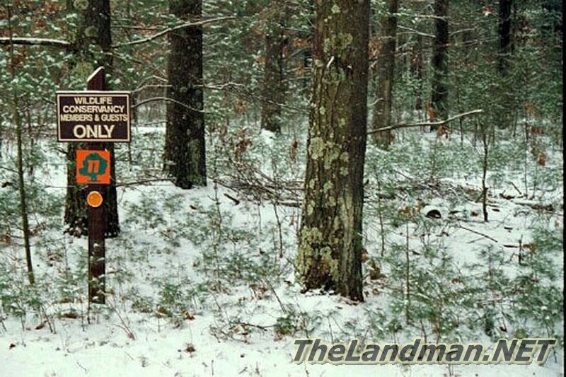 Photo of the Trail Markers throughout the Nature Conservancy at Crystal Brook Woods.