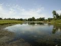 Risk Creek feeds Easton Shores Pond