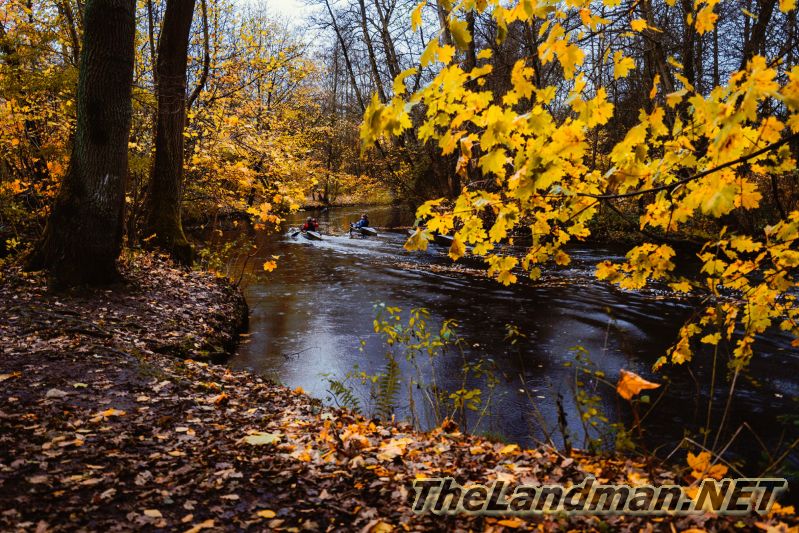 Paddle Kayakers  Forest River Autumn Day rCqAxWfKm