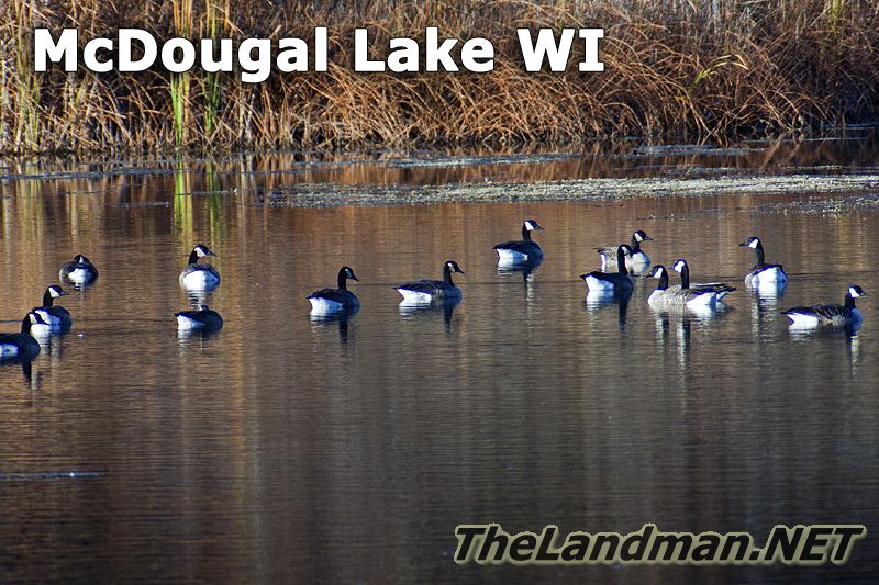 McDougall Lake WI